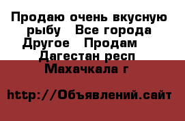 Продаю очень вкусную рыбу - Все города Другое » Продам   . Дагестан респ.,Махачкала г.